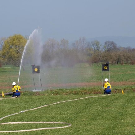 Vyhánění pavouků 2010