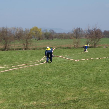 Vyhánění pavouků 2010