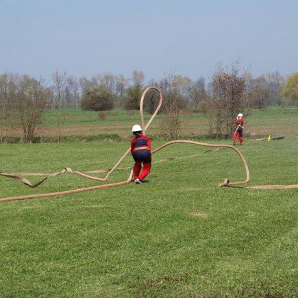 Vyhánění pavouků 2010