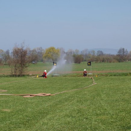 Vyhánění pavouků 2010