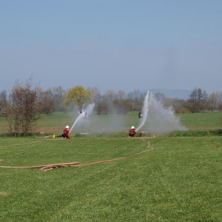 Vyhánění pavouků 2010