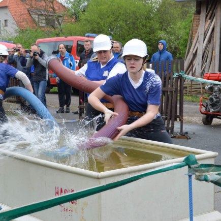 Vyhánění pavouků 2019