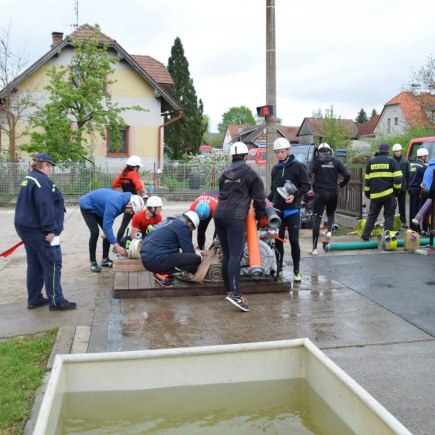 Vyhánění pavouků 2019